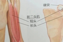 影响体态，还会带来肩前疼痛，这块著名的肌肉该管管了！